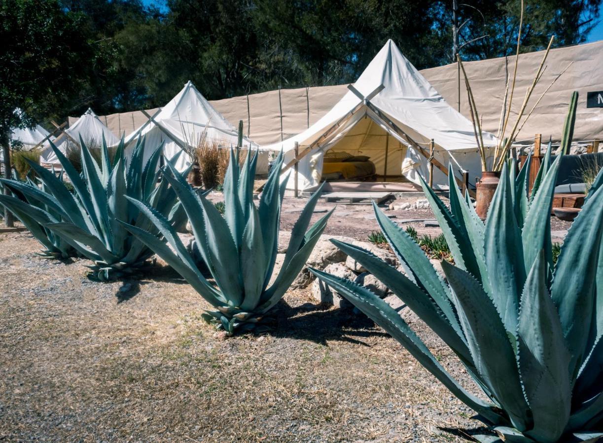Nomada Glamping & Aguas Termales - X Nantli Living *