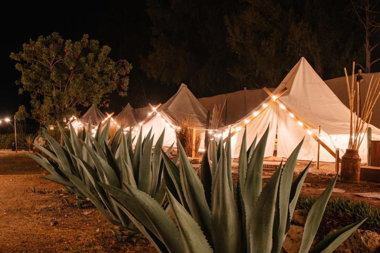 Nomada Glamping & Aguas Termales - X Nantli Living Luxury tent *